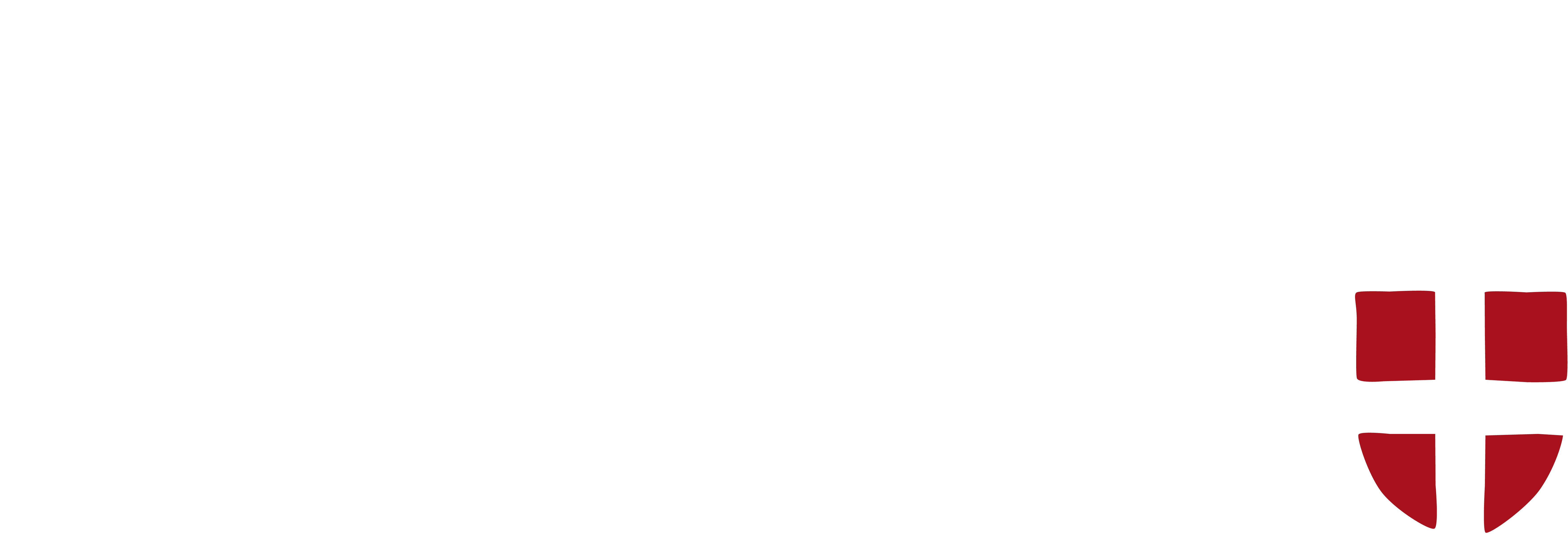 Partenaire Snowleader